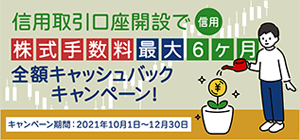 信用取引口座開設で株式手数料（信用）が最大6ヶ月間全額キャッシュバック！（実質無料）
※株式取引手数料（信用）のキャッシュバック金額の上限はありません。