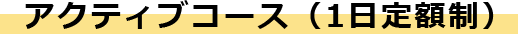 アクティブコース（1日定額制）