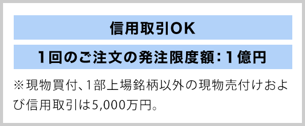 信用取引OK 1回のご注文の発注限度額：1億円