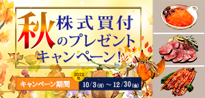 きめムーバブルタイプ株主優待300_秋.png