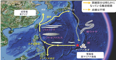20240815_machida1.png