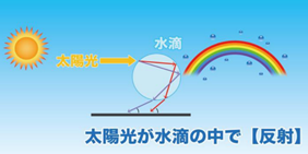 20240823fujimura2.png