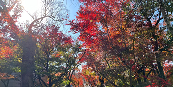 20221206高橋1.png