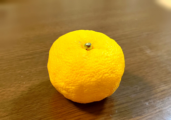 20221220①.png