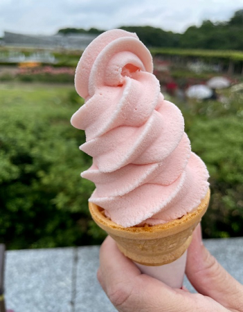 20230523ふかの6.png