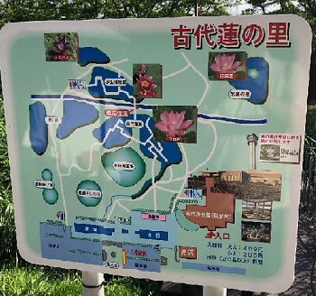 20230719おおた.png