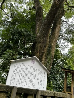 20230906やまがた3.png