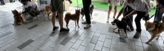 20230908やまがた3.png