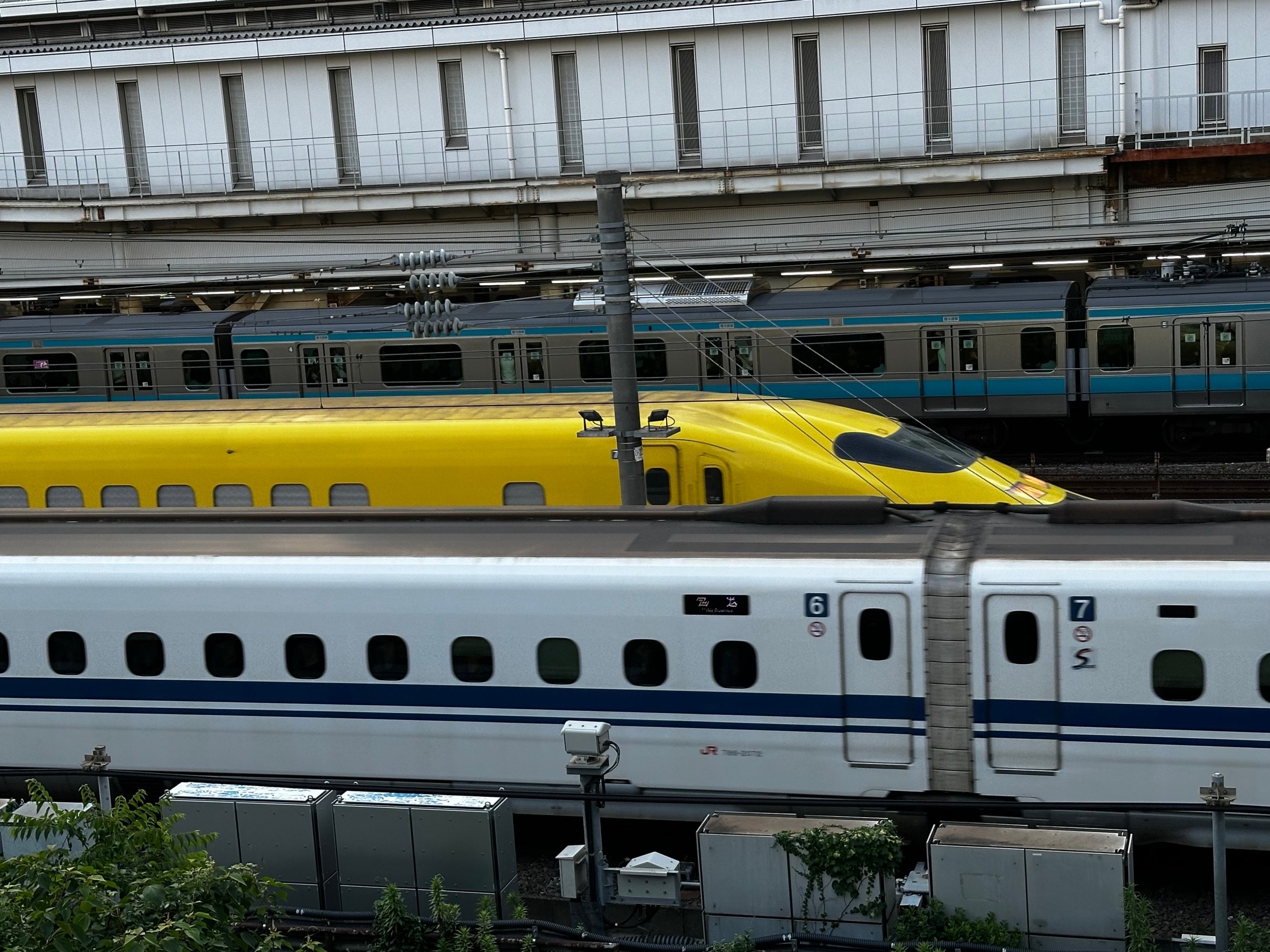 20240710のじ.jpg