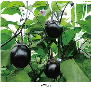 20240919_はらだ.png