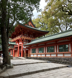 20250508shimamura_1.png