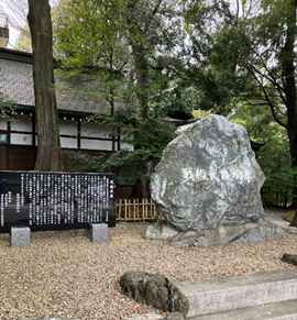 20250508shimamura_3.png