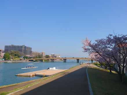 20250806_blog2.png