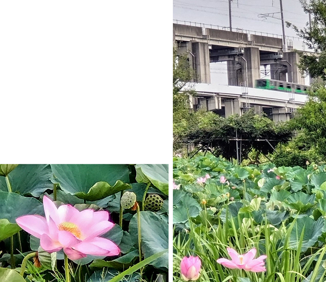 20250818_blog.png