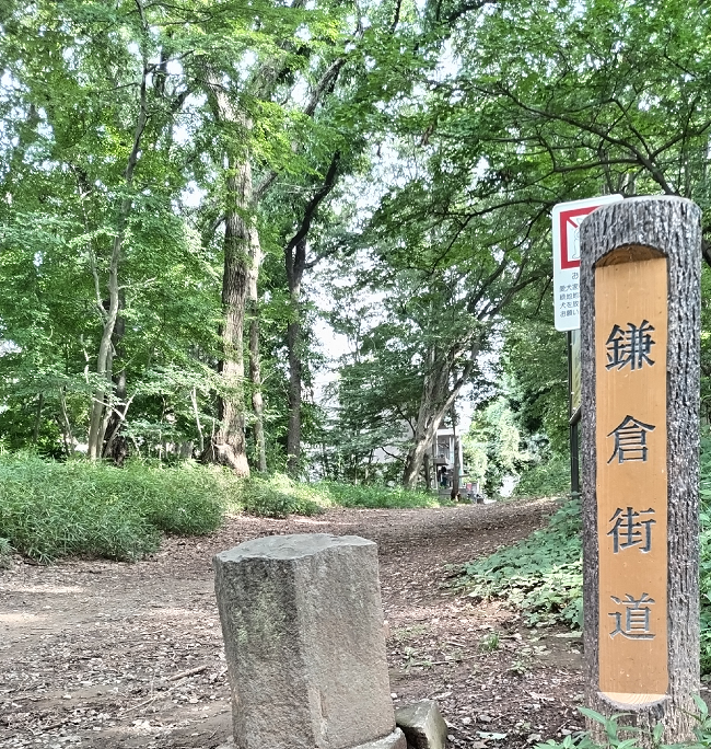 20260810_blog1.png