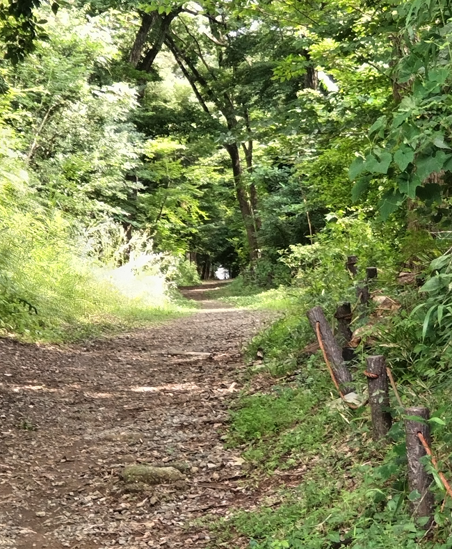 20260810_blog2.png
