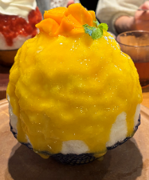 20260904_blog2.png