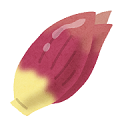 vegetable_myouga.png