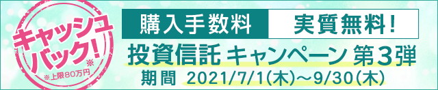 岩井コスモ証券 ネット取引 公式 株式 信用取引 デイトレフリー 債券 投信 Fx